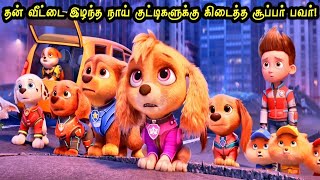 பாவப்பட்ட நாய் சூப்பர் ஹீரோ ஆன கதை Hollywood Tamizhan  MOVIE STORY amp REVIEW IN TAMIL [upl. by Keisling67]