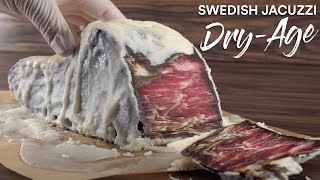 The Swedish JACUZZI Steak DRYAGE Experiment [upl. by Eppie]