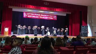 Mariachi Los Lobos  El Cotton Picker Mariachi Festival [upl. by Nelg]