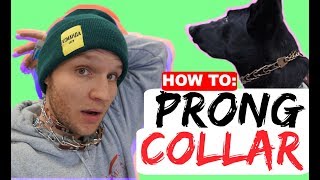 How to properly fit a prong collar  Sizing and position of the prong collar  Dog Training Collars [upl. by Vidal]