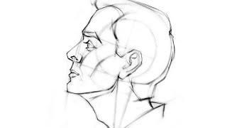 How to Draw the Head  Side View [upl. by Kev]