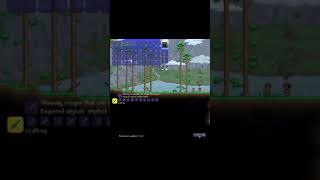 Instant Zenith Glitch  Terraria [upl. by Tayib]