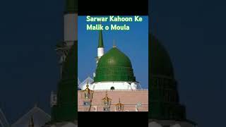 AlaHazrat Sarwar Kahoon ke Malik O Moula  owais raza qadri Naat Status viralshorts [upl. by Aelyk]