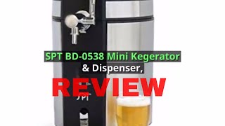 Mini Kegerator Dispenser Review [upl. by Nylirej]