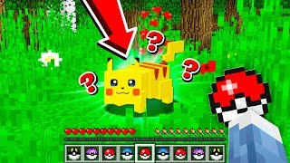 TAMING A WILD PIKACHU IN MY MINECRAFT WORLD [upl. by Naujet]