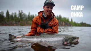 Catching my first salmon and it’s a giant  Fly Fishing Baltic Salmon [upl. by Ehrsam]