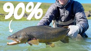 90 of Fly Fishing Trout in 15 minutes [upl. by Sterling59]