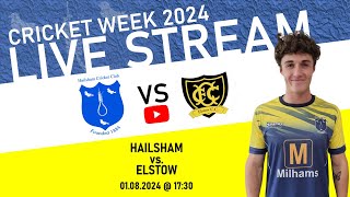 LIVE Hailsham V Little Common Sussex Cricket League  Division 4 East [upl. by Porush]