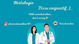 tissu conjonctif proprement dit 2  histologie 1ère année médecine et médecine dentaire [upl. by Tabby]