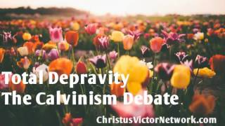 The Calvinism Debate Total Depravity [upl. by Wernda]