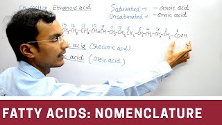 Nomenclature of Fatty acid [upl. by Norvun]