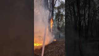 Burning season in Perth Western Australia [upl. by Leopold]