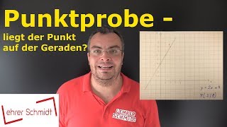 Punktprobe  Liegt der Punkt auf der Geraden  Mathematik  einfach erklärt  Lehrerschmidt [upl. by Eanar]