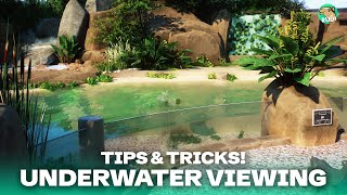 BETTER Underwater Viewings  5 Tips amp Tricks in Planet Zoo [upl. by Notsehc440]