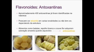 Aula bromatologia Pigmentos naturais antioxidantes nos alimentos Flavonoides e Betalainas [upl. by Nimsaj]