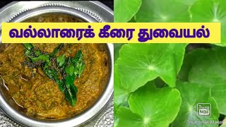 Vallarai keerai thuvaiyal in tamil recipe [upl. by Jany438]