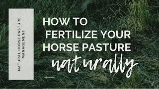 How to fertilize your horse pasture naturally [upl. by Atiken]