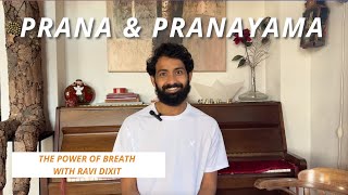 What is Prana amp Pranayama with Ravi Dixit [upl. by Fan]