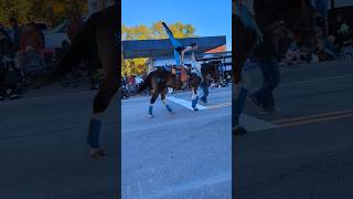 From the parade💖horse equestrain trickriding stuntrider parade fypシ゚ subscribe viralshort [upl. by Takara]