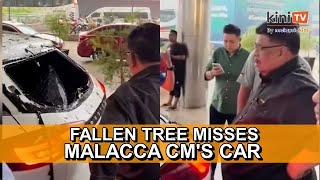 Fallen tree in KL narrowly misses Malacca CMs car [upl. by Leod]