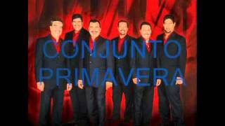 CONJUNTO PRIMAVERA  AMIGO MESERO  CON DEDICACION ESPECIAL [upl. by Elaweda413]