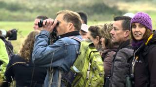 Natuurnieuws Texel oktober 2013 [upl. by Sigsmond]