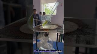 Starch test in leaf vlog school science scienceexperiment [upl. by Rab44]