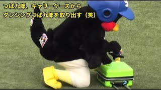 つば九郎、キャリーケースからダンシングつば九郎を取り出す（笑） [upl. by Nov992]