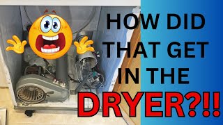 Squirrel Trapped in Dryer A Cautionary Tale [upl. by Robison]