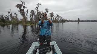 Flfishingclermontfl lake minnehaha [upl. by Larred]