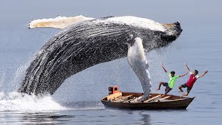 Blue Whale Fish Attack Ship  Fun Made Whale Shark Attack Movie whale [upl. by Skurnik]