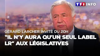 Gérard Larcher invité du 20H  quotIl ny aura quun seul label LR aux législativesquot [upl. by Nnyletak]