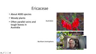 Ericaceae [upl. by Assirehc209]