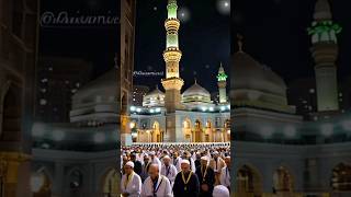 Pohachna dar pr to kehna aaqa  naat Rasool saww [upl. by Wendt]