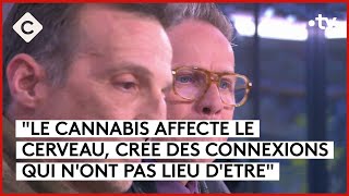 Cannabis une enquête de Mathieu Kassovitz amp Antoine Robin  C à Vous  01042024 [upl. by Rudich]