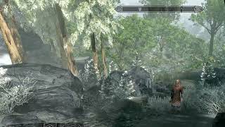 Skyrim Together Overhaul installation and setup guide multiplayer [upl. by Nyladnohr]