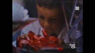 1987 Canale 5 Spot Panettone Borsari [upl. by Brigitta]