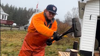 BUILDING PASTURE HOG PEN for 10 Berkshire x Tamworth pigs winter feeding  hotwire training Part 1 [upl. by Yule18]