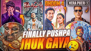 FINALLY Pushpa Jhuk Gaya 🙏 Baaghi 4 Announcement Hera Pheri 3 Confirmed Dhoom 4 News askladder 1 [upl. by Waylen]