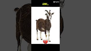 Real Goat🥶💯 football edit goat soccer [upl. by Col]