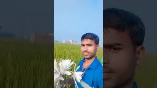 Dil Tod Diya gana mere palko me [upl. by Eibob]