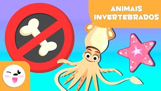 ANIMAIS INVERTEBRADOS  Artrópodes moluscos anelídeos celenterados equinodermes e esponjas [upl. by Airod]