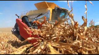 Geringhoff Rota Disc Elite harvesting in down corn [upl. by Alvina]