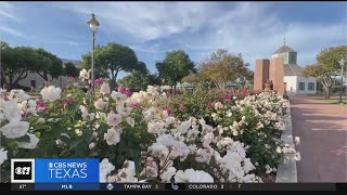 CBS News Texas heads to Fredericksburg for a Texas Total Eclipse [upl. by Ecnerrot]