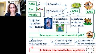 Advancing Metagenomic Tools for Monitoring Antibiotic Resistance and Pathogen Gene Markers in [upl. by Anelrad536]