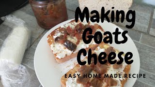 Foody Friday  Easy process how to make soft GOATS CHEESE from raw milk [upl. by Hecklau921]