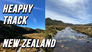 Heaphy Track  Great walk of New Zealand  Kiwi Spotted x3 [upl. by Pouncey]