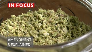 Marijuana and Amendment Three Explained  Southwest Florida In Focus  WGCU News [upl. by Toddy]