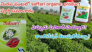 safaari organic product  growell  vaaradhi agri tech safaari  safaari uses mirchi in telugu [upl. by Ahsenrac]