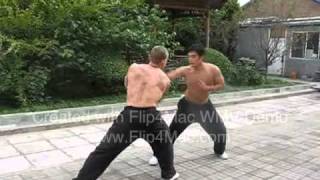 Master Xu YiZhen TaiChiChuan Sparring [upl. by Aisetal920]